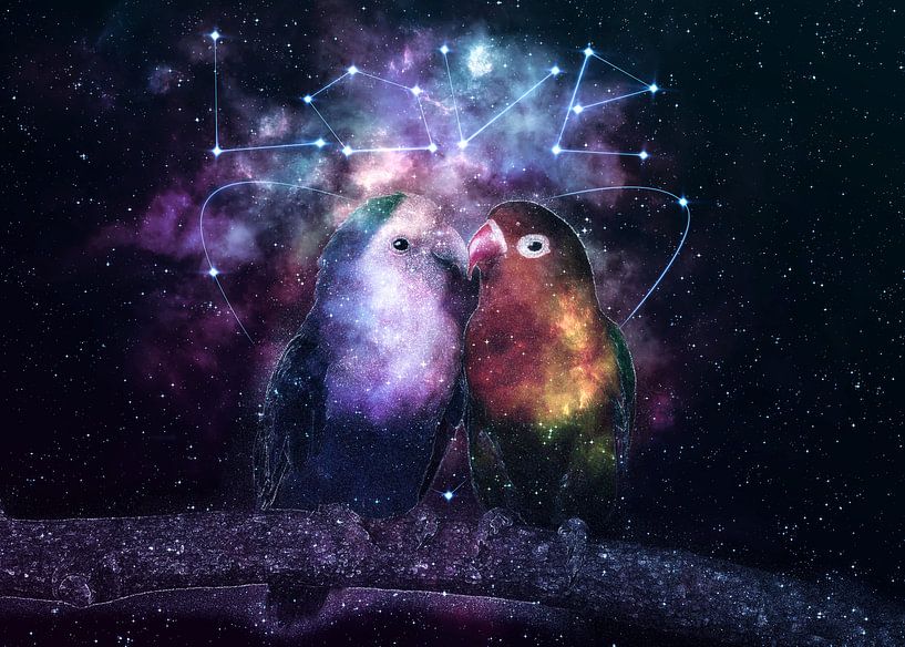 Galaxy Parrot Love Birds von Lemo Boy