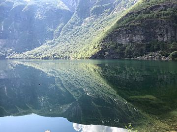 Norwegen, Borgund 16 von Kees van de Wetering