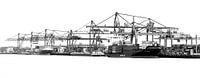 Rotterdam Port black and white