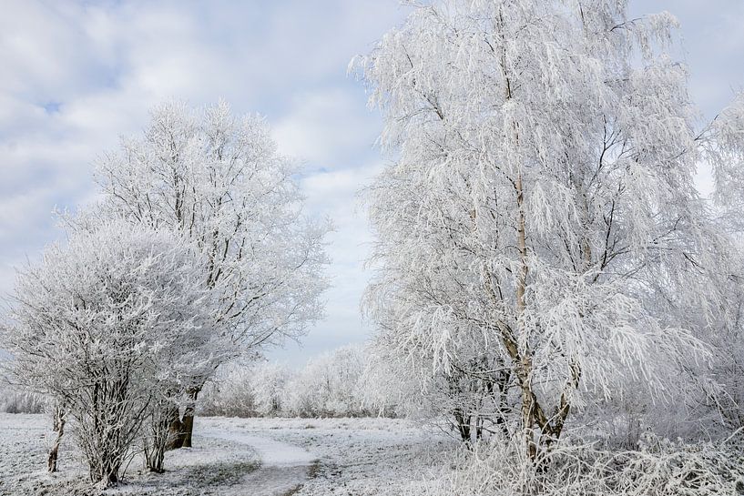 Een  witte wereld  von AnyTiff (Tiffany Peters)