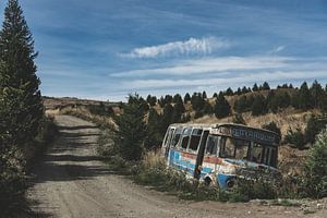 Into the wild sur Albert Lamme