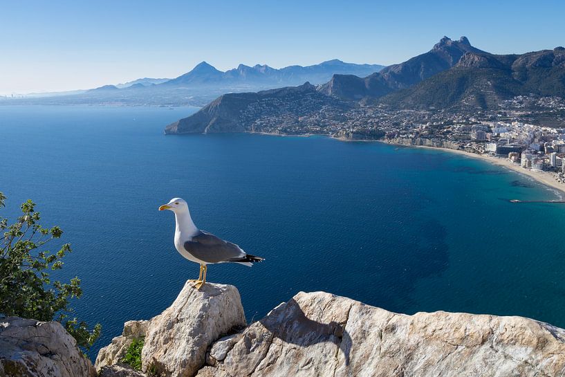 View towards the mountains of the Mediterranean coast by Adriana Mueller