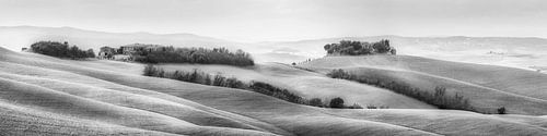 Sfeervol landschap van Toscane in Italië in zwart-wit