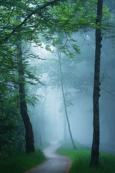 The foggy bicycle path by Martin Podt