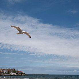 2 meeuwen vliegen boven de kust van Gijon - Asturië - Noord Spanje van Rick Van der Poorten