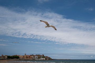 2 meeuwen vliegen boven de kust van Gijon - Asturië - Noord Spanje van Rick Van der Poorten