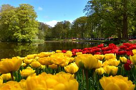 Blühende Tulpen im Park von Claude Laprise