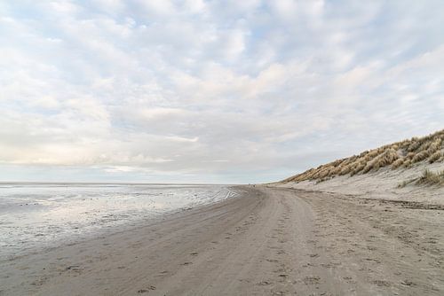 Strand Ameland