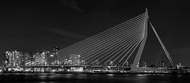 Erasmusbrug Rotterdam bij nacht in zwart wit