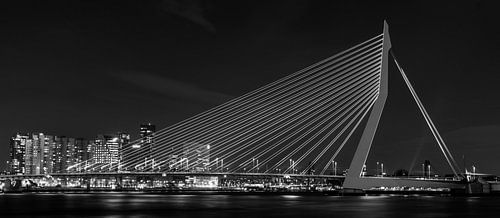 Erasmusbrug Rotterdam bij nacht in zwart wit