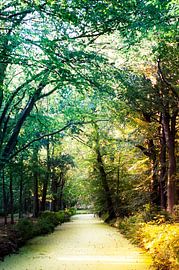 Wanneer de eerste bladeren vallen van Hanneke van Buuren