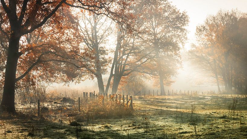 Mistig begin van de dag bij de Hatertse Vennen von Michel Seelen