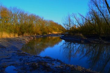 Het broedt gebied voor vogels in Klein Profijt