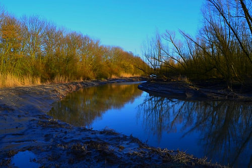 Het broedt gebied voor vogels in Klein Profijt