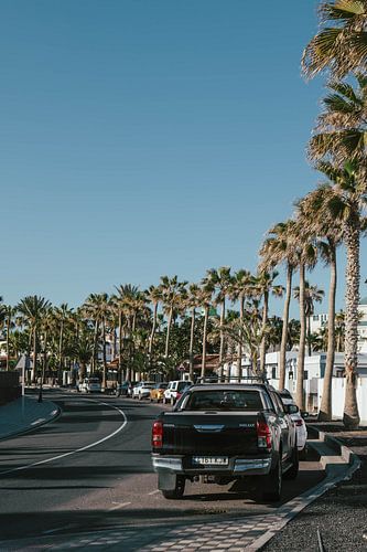 Palmbomen en stadsleven