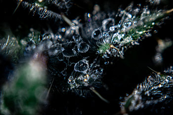 Wasser-Universum