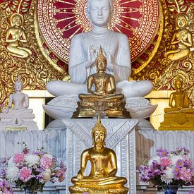 Symphony of gold, stone and silence by Walter G. Allgöwer