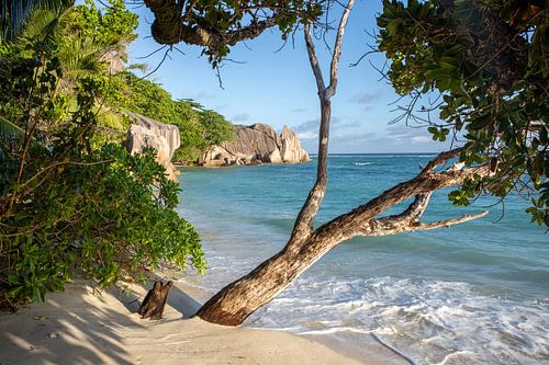 Anse Source d'Argent (La Digue / Seychellen)