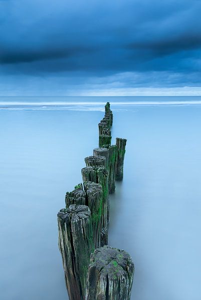 Criss-cross! by Karin de Bruin