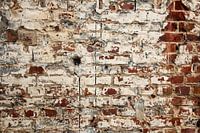 Urban - Old Brick wall