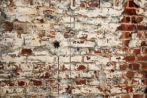 Urban - Old Brick wall van -BLOOS-