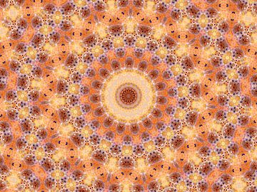 Mandala in Abrikoos (Zalmroze Retro of Boho) van Caroline Lichthart