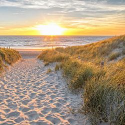 Nationalpark Duinen van Texel