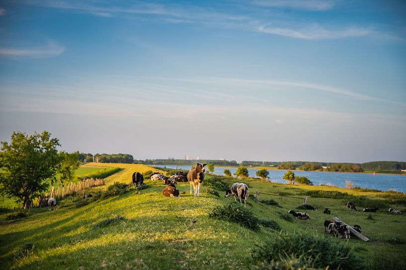 Landschap met zonsondergang van Anita Kabbedijk