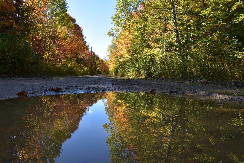 A country road in autumn by Claude Laprise