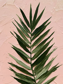 Green palm leaf on pink