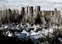 Stoer