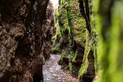 The path through the gorge