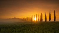 Agriturismo Poggio Covili in de zonsopgang, Toscane van Thomas Rieger thumbnail