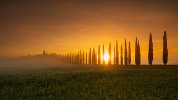 Agriturismo Poggio Covili in de zonsopgang, Toscane