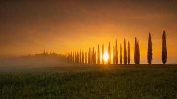 Agriturismo Poggio Covili in de zonsopgang, Toscane van Thomas Rieger