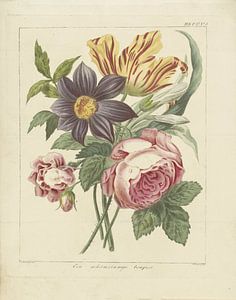 Blumenstrauß mit Pfingstrose und Tulpe, Dirk Sluyter