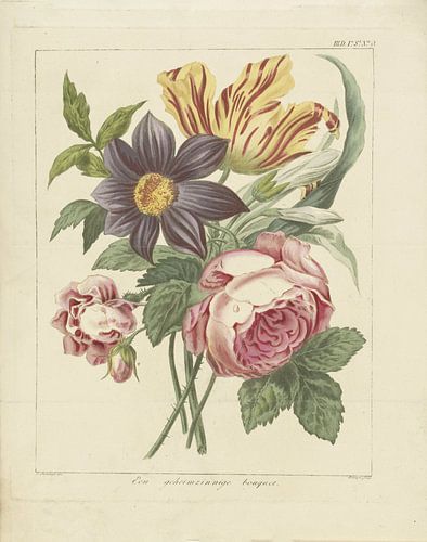 Bouquet de fleurs avec pivoine et tulipe, Dirk Sluyter