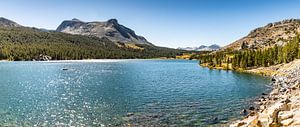 Yosemite National park