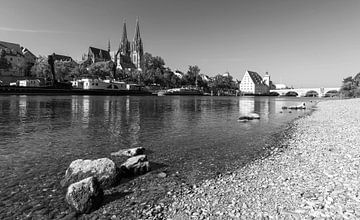 Regensburg Donau en Oude Stad van Frank Herrmann