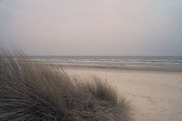 Uitzicht over het strand op Usedom met duinen aan de ene kant en de Baltische Zee aan de andere kant van Martin Köbsch