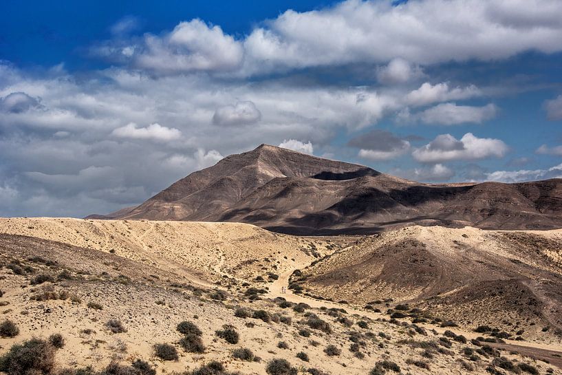 Playa Blanca van Harrie Muis