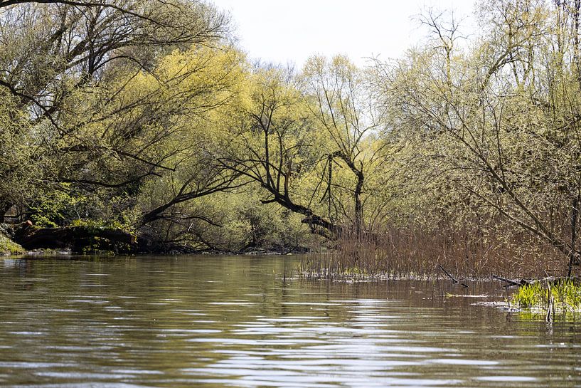 Rathenow „Stadt der Optik“ von David Krause