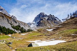 Alpe du Lauzet: the climb to the pass