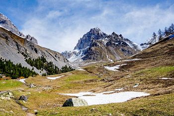 Alpe du Lauzet la montée vers le col