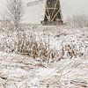 Snow landscape mills world heritage Kinderdijk by Mark den Boer