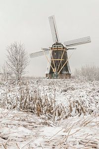 Sneeuwlandschap molens werelderfgoed Kinderdijk 