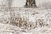 Sneeuwlandschap molens werelderfgoed Kinderdijk  van Mark den Boer