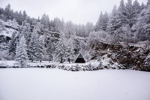 Korte winterwandeling in het besneeuwde Thüringer Woud bij Floh-Seligenthal - Thüringen - Duitsland