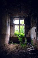 Abandoned factory