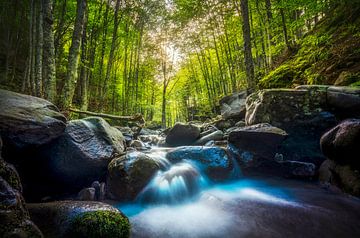 Beekwaterval in een bos. Apennijnen, Toscane van Stefano Orazzini